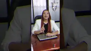 &iquest;Qu&eacute; es el recurso de apelaci&oacute;n? 🧐