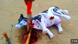 WADIDAU PROSES POTONG SAPI QURBAN SIMOLASI POTONG SAPI QURBANI IDUL IDHA COW, @ToyStory542