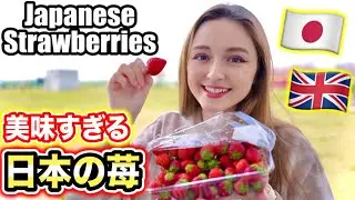Trying Strawberries From Tochigi, Japan For The First Time | Strawberry Paradise!