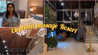 Elephant passage resort Munnar full room and resort tour⛰️Best place to stay in Munnar Kerala