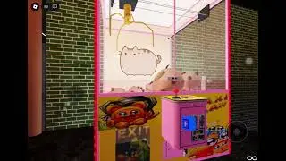 Playing claw machines until I win day 2