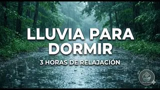 Bajo la Lluvia: 3 Horas y 40 Minutos de Paz Natural | Sacleb Nature