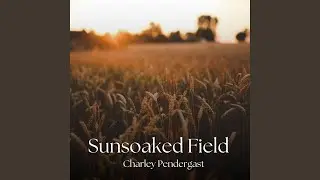 Sunsoaked Field
