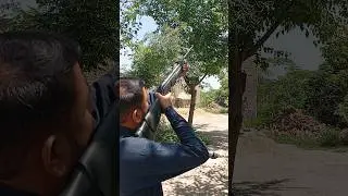 Hunting with Gamo shadow Airgun | Air rifle hunting in village | The most beautiful low price airgun