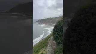 Beautiful morning in Palos Verdes 🌊🌳 #relax #relaxing #asmr #palosverdes #nature #naturelovers