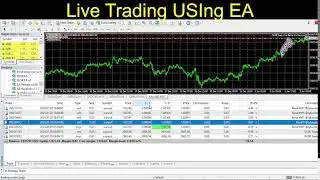 Market Pulse Insight Live Trading Using EA Stream
