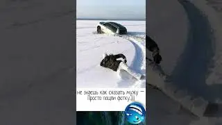 #смешные #юмор #шуточное #неудачные #смехпродлеваетжизнь #провалы #мем #прикол #смех #фейлы