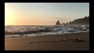 Wild Outdoor Adventures - Indian Summer, Jai Wolf Alaska & Washington