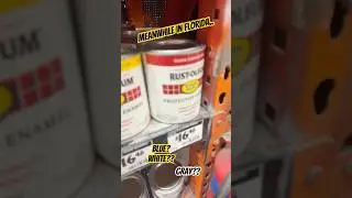 Choosing a hull color BOAT PAINT#diy#boating#indianriver#15ft