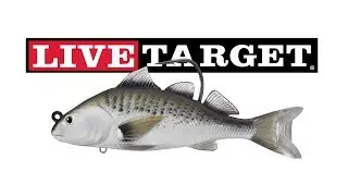 LiveTarget--Coaker Swimbait at Icast 2018