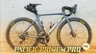 PACIFIC PRIMUM PRO | CARBON MURAH, TAPI GA MURAHAN
