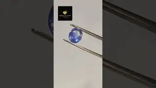 New Gemstone 💎 Blue Sapphire Origin - Ceylone At Shree N.B.Gems #shortsfeed #shorts  #bluesapphire