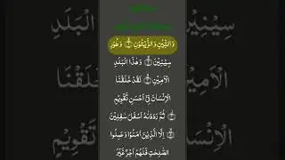 SURAH AT-TIN (سورة التين) - EgzonIbrahimi🤲 #egzonibrahimi #surahattin#quranrecitation#quran#trending