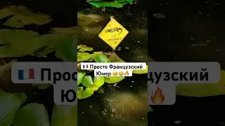 Французский юмор 😅🤣👍 зачет