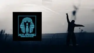 Hot Natured feat. R&oacute;is&iacute;n Murphy - Alternate State [lyrics]
