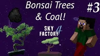 Bonsai Trees and Coal! | Minecraft: Sky Factory 4 - #3