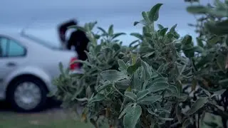 Dimios - Short Film