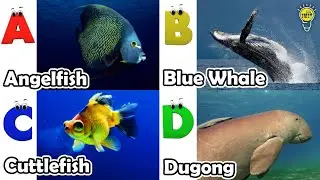 ABC phonics animals | ABC Sea Animals song | English and Animals for Kids #angelfishs