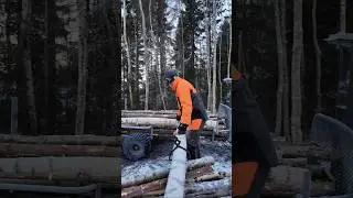 Fr&aring;n g&aring;rdagen. Del 2. 🌲😀 &Ouml;nskar er en fin kv&auml;ll. #skog #husqvarna #landet #skogsbruk #minlandsbygd