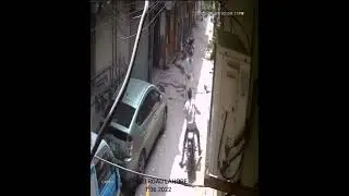 Robbery Fail Lahore. Funny Robbery Fail CCTV Footage