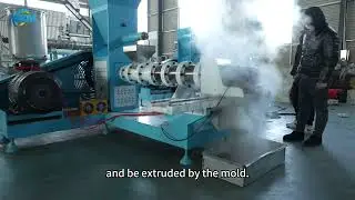 Fish&Pet Feed Pellet Making&nbsp;|&nbsp;Big Feed Extruder Machine&nbsp;|&nbsp;Mikim Machinery Fish Feed Factory