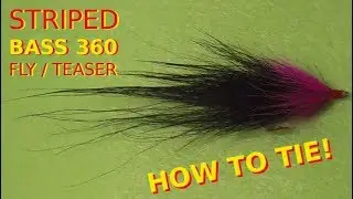 How to Tie - The PERFECT STRIPED BASS TEASER - Tying the ULTIMATE Saltwater GAMEFISH Fly