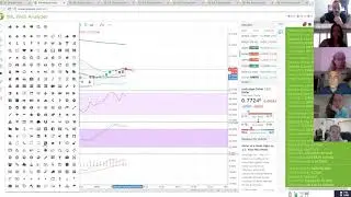 Trading FOREX Basics, Understanding Web Analyzer and Swipetrades