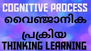 COGNITIVE PROCESS PSYCHOLOGY SUB INSPECTOR OF POLICE SPECIAL TOPIC THINKING LEARNING #psc #keralapsc