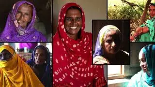 PAK Schemes: Aapka  Saathi | Sarkari Imdad, Ehsaas, BISP Updates | Non-Profit & Non-Govt