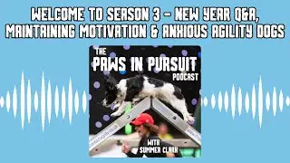 Welcome to Season 3 - New Year Q&A, Maintaining Motivation & Anxious Agility Dogs