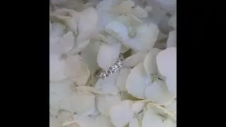 Four Stone Lab Created Diamond Wedding Band | Ada Diamonds