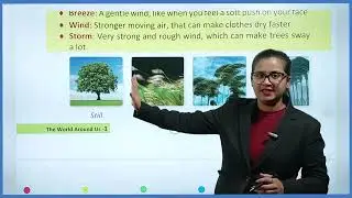 Class 1 EVS | Chapter 11 – Air and Water | Easy Explanation