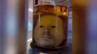 Preserved Head In A Jar