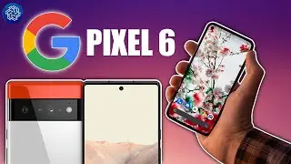 Here's What You Need To Know About Google Pixel 6