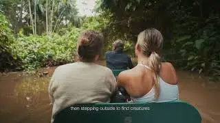 What to Expect at La Selva Eco-Lodge & Retreat | Amazon Rainforest Luxury with Purpose 🌿