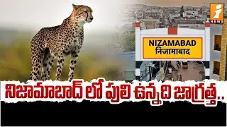 నిజామాబాద్ లో పులి ఉన్నది జాగ్రత్త.. | Leopard Scare in Nizamabad District | Latest News | iNews