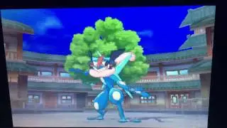 Pok&eacute;mon Sun vs Island Kahuna Nanu (1)