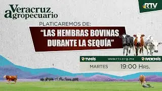 Veracruz Agropecuario 9DIC2025
