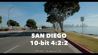 DP241208 - San Diego Day Driving Plates - 10-bit 4:2:2