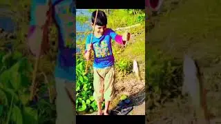 Fishing video -amazing fish hunting ~little boy hunting big fish