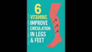 6 Essential Vitamins for Better Circulation in Your Legs & Feet&rdquo;