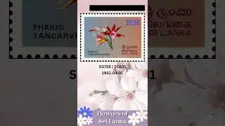 Flowers of Sri Lanka (1982) #shorts