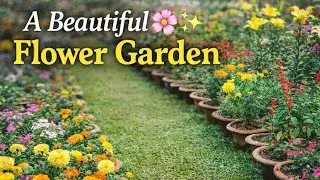 Describe a Beautiful Flower Garden in English | English Practice
