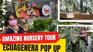 Ecuagenera Pop Up at my My Favorite Rare Plant Local Nursery! What will I come home with?!😆💚