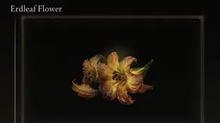 Elden Ring Farming: Erdleaf Flower