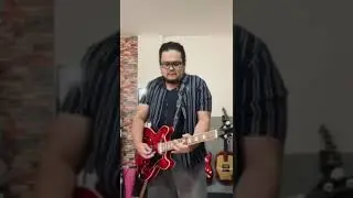 ES 335 copy straight to fender champion 40