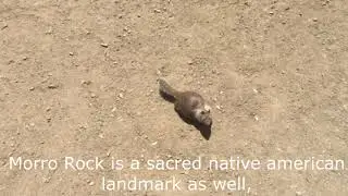 Morro Bay State Park Welcome Video