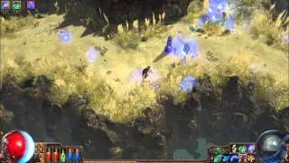 DUAL TOTEM