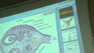 Female Genital System 1 - Part 1 