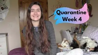 Quarantine Week 4